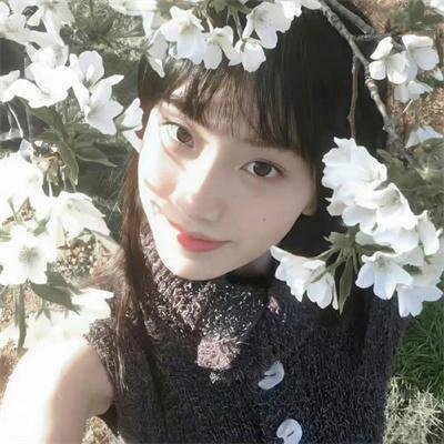 钢管舞娘